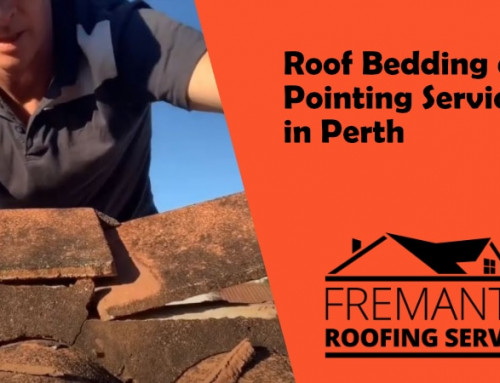 Roof Bedding and Pointing Services in Perth