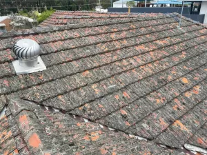 Roof Repair Before